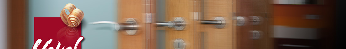 Haustüren, Wohnungstüren, Kellertüren, Eingangstüren, Türgriffe, Türbeschläge, Türrahmen, Türschlösser und Flügeltüren